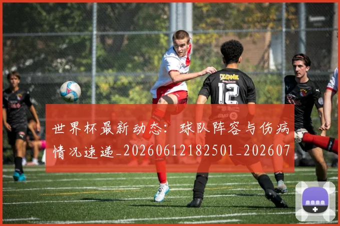 世界杯最新动态：球队阵容与伤病情况速递_20260612182501_20260702174219