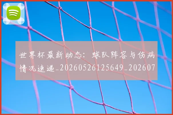 世界杯最新动态:球队阵容与伤病情况速递_20260526125649_20260702174218